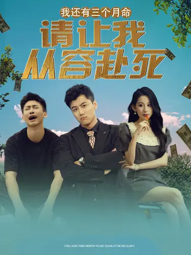 《我还有三个月命，请让我从容赴死》：生命倒计时里的温情救赎与对死亡的另类思考